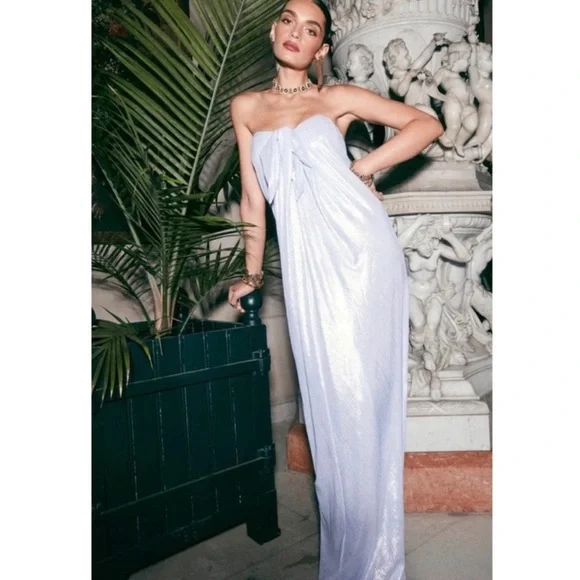 Caroline Constas Kaia Silver Gown NWT - Picture 4 of 17